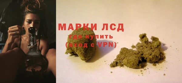 ПСИЛОЦИБИНОВЫЕ ГРИБЫ Алексин