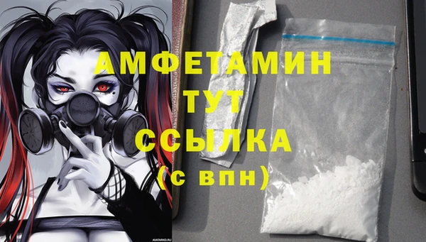 ПСИЛОЦИБИНОВЫЕ ГРИБЫ Алексин