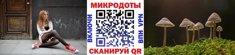 где купить наркоту  blacksprut вход  Галлюциногенные грибы Cubensis  Новозыбков 