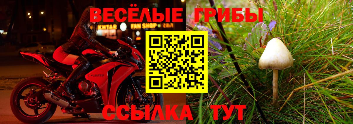 Псилоцибиновые грибы GOLDEN TEACHER  Вход с VPN  Новозыбков 