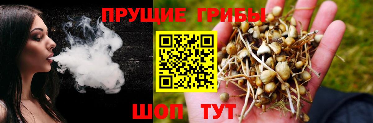 Галлюциногенные грибы прущие грибы Новозыбков
