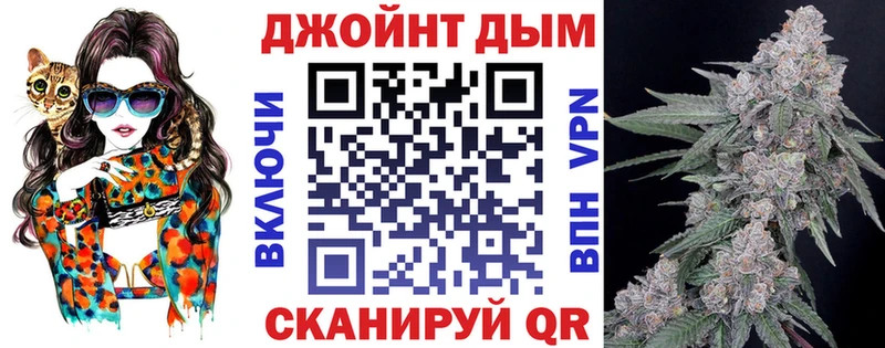 Канабис планчик  хочу наркоту  KRAKEN как войти  Новозыбков 